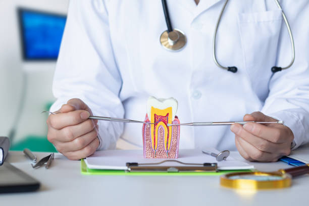 Best After-Hours Dental Trauma Care in Ben Bolt, TX